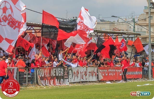 תצוגת עידוד נפלאה (יוסי סוריק)